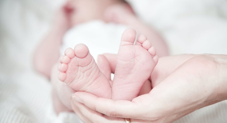 20 derece eşik: Sıcaklık arttıkça erkek bebek doğumları azalıyor