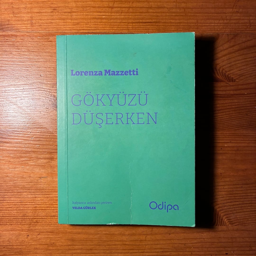 Çocuğun konjonktürle mücadelesi: 'Gökyüzü Düşerken'