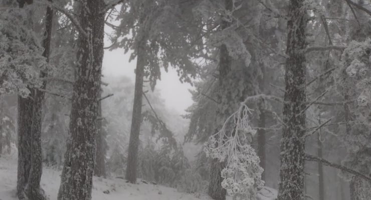 Kazdağları'na kar yağdı