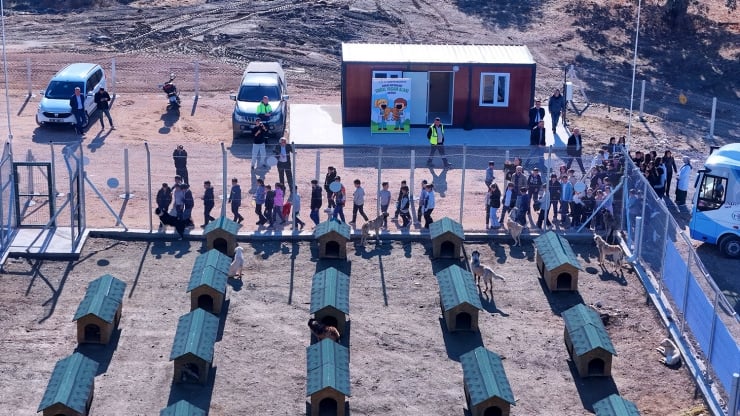 'Köpekler aç bırakılıyor' iddiası: Bozüyük Belediyesi'ne ait barınağa inceleme