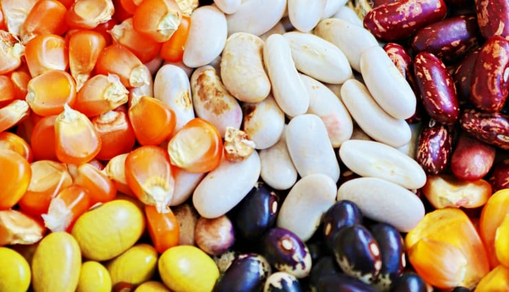 Soğuk suyla pişirmeye daha uygun yiyecekler