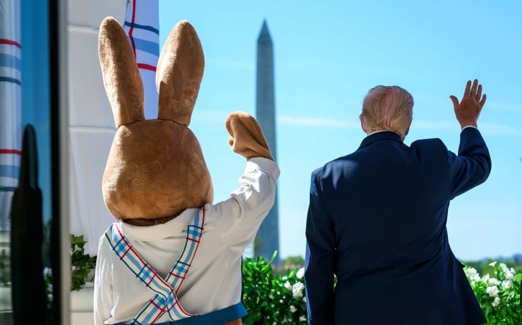 Trump sosyal medya yorumcularına verdi veriştirdi: Deli, ezik, düşük zekalı…