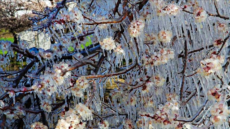 Yağış ve zirai don: 20 ile sarı kodlu uyarı