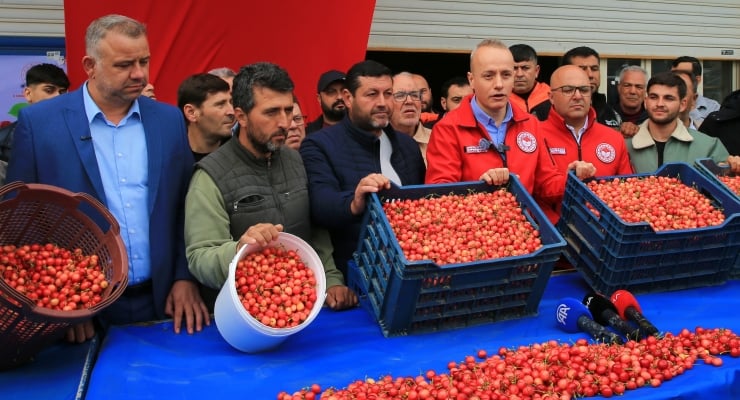 Group of people at a cherry distribution event, crates of red berries on a blue table in front of them.