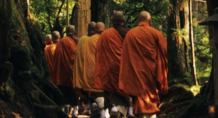 Buddhist monks in orange robes walking along a forest path, seen from behind.