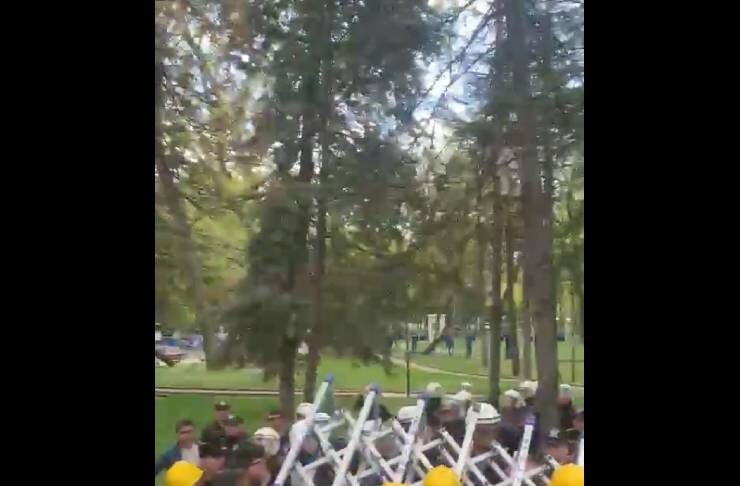 Shirtless crowd wearing yellow and blue hard hats facing a barrier of riot police shields in a park with trees in the background.