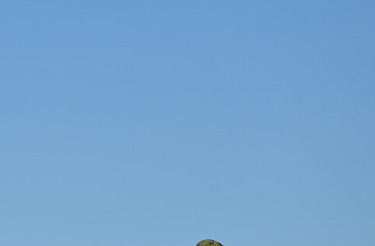 Soldier in camouflage gear stands with back to camera on a grassy hill under a clear blue sky.