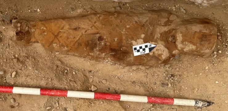 Fossilized bone in dirt with a black-and-white scale marker and a red-and-white measuring rod nearby.