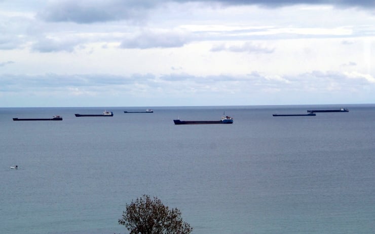 Wide view of the calm sea with several cargo ships on the horizon under a cloudy sky; a small tree appears in the foreground.