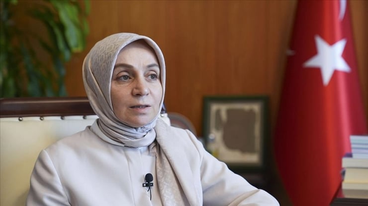 AKP'li Usta, doğum hızının düşmesini ekonomiye bağlamayı 'çok sığ' buluyor