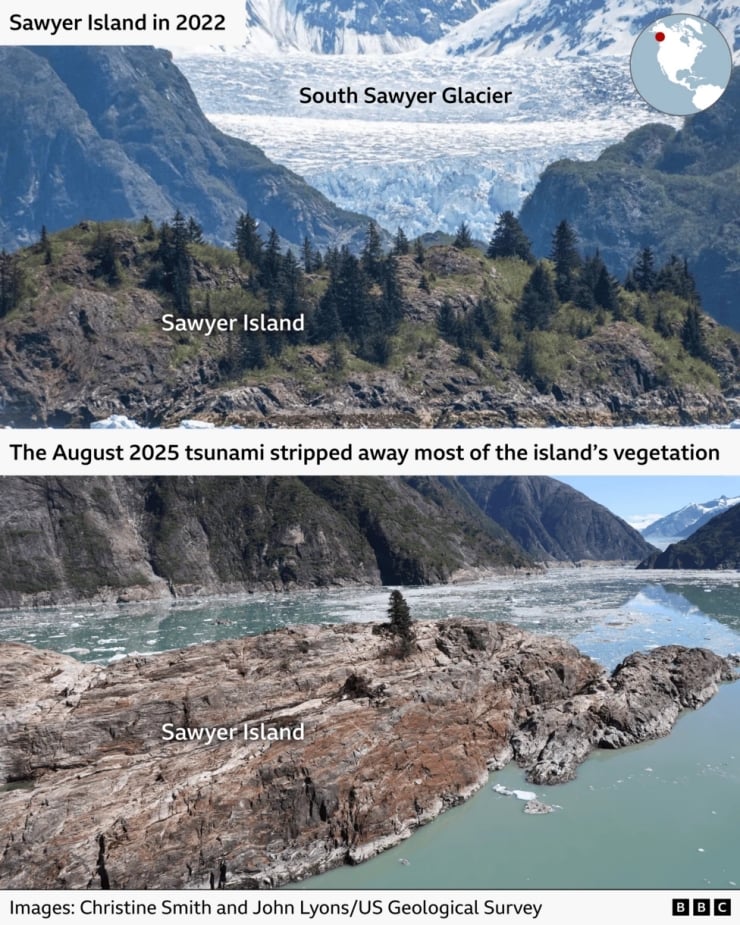 Informational image comparing Sawyer Island before and after the Aug 2025 tsunami: top shows island with trees and the South Sawyer Glacier; bottom shows a rocky coast with desolated vegetation and changed water; inset world/globe and caption credit USGS.