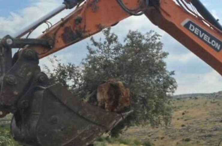 Orange Develon excavator arm lifts a large rusty rock with its bucket in a scrubby hillside site, blue sky above.