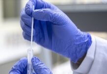 Scientist in blue gloves uses a pipette to draw liquid into a small test tube in a laboratory.
