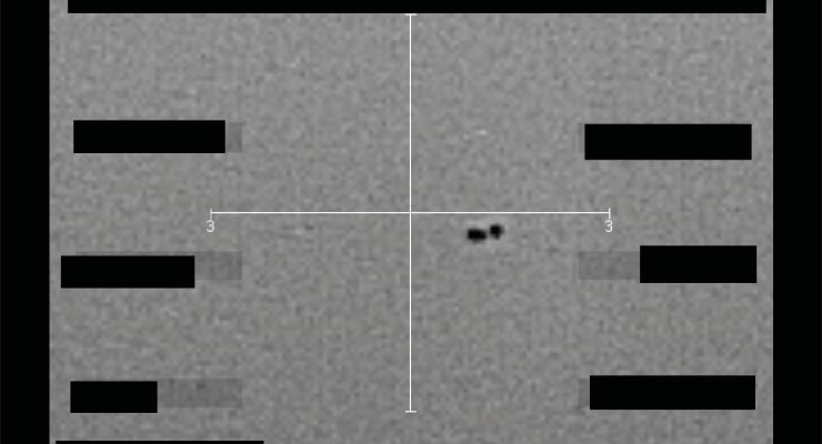 Grayscale image with a central crosshair and measurement marks, side rectangular bars on left and right, and two small dark dots near the center.