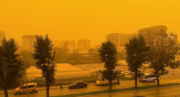Urban street scene with trees, parked cars, and apartment buildings under an orange haze.