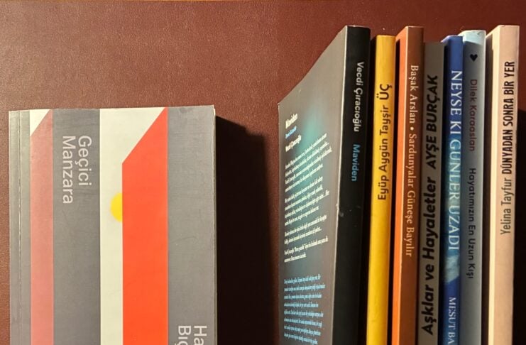 Row of Turkish books on a dark red shelf; left is a large grey book with a red stripe, followed by slender yellow, orange, blue, and beige spines with Turkish titles.