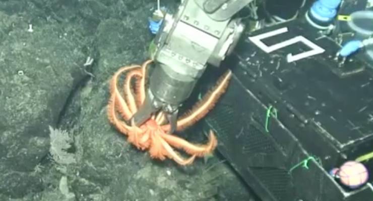 Close-up of an orange rope coiled beside a metallic tool attached to a dark surface, suggesting subsea salvage or inspection equipment.