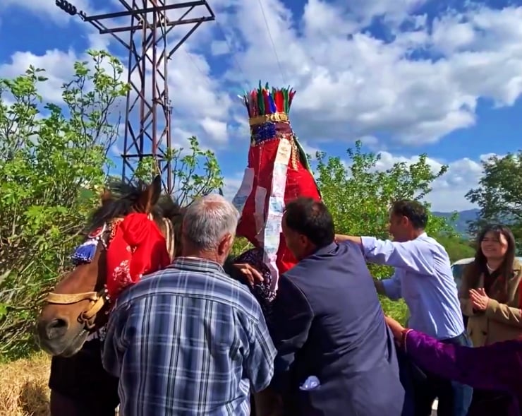 Group of people gathers around a donkey wearing a tall, red, feathered ceremonial costume outdoors on a hillside with a power line tower nearby.