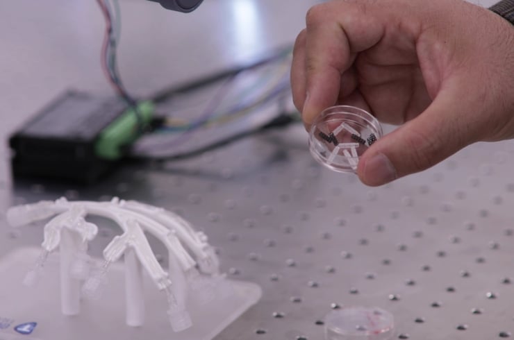 Close-up of a hand holding a clear round plastic component with an X-shaped insert above a lab work surface.