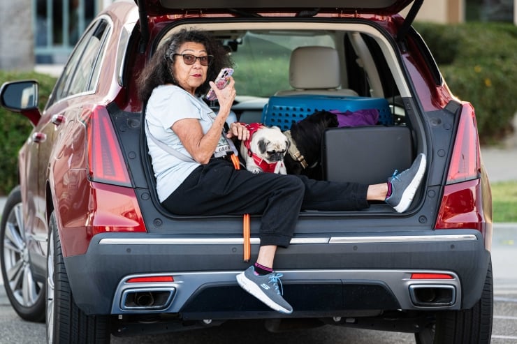 Older woman with glasses sits in the open trunk of a red SUV with two small dogs, looking at her phone in a parking lot.