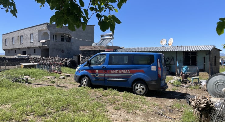 Yılanı vurmak isterken beş kişiyi yaraladı