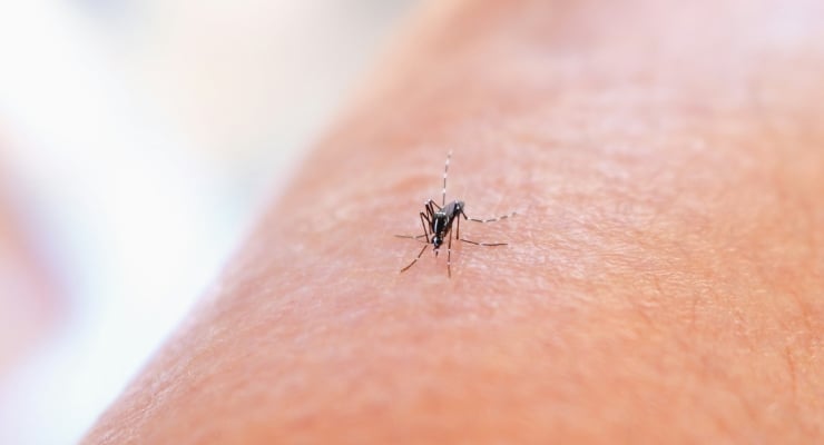 Close-up of a small mosquito perched on bare human skin, showing its legs and body detail.