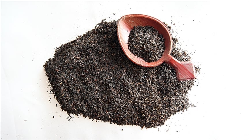 Loose black tea leaves spilled on a white background with a red wooden scoop resting on top.