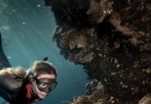 Snorkeler wearing a mask explores a vibrant coral reef underwater.