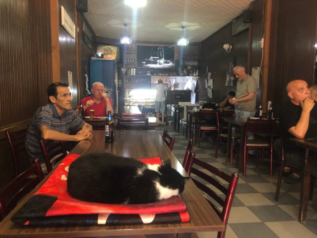 Cat curled up on a red blanket atop a wooden table in a dimly lit cafe as several people sit and chat in the background.