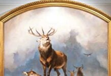 Framed painting of a stag with large antlers standing on a rocky hill with deer around him.