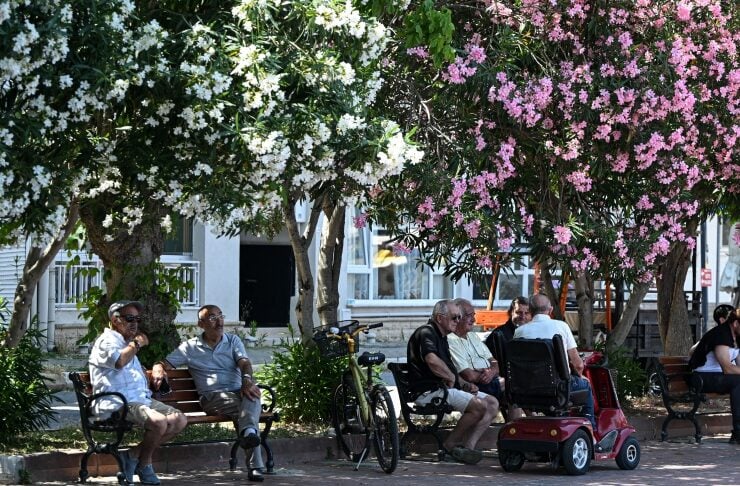 Group of elderly people sitting on benches in a sunny park under flowering trees with pink and white blossoms.