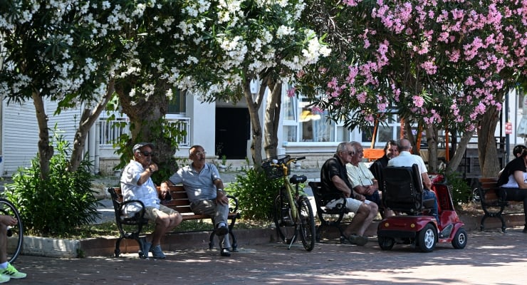 Group of elderly people relaxing on benches in a sunny park plaza under flowering trees; a mobility scooter and bicycles are nearby.