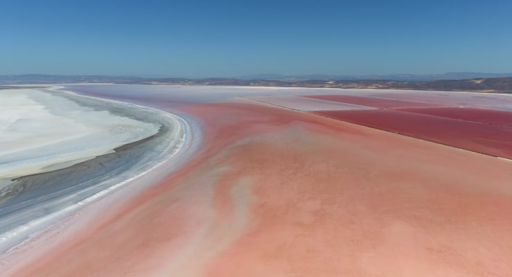 Pink and white salt flats stretch to the horizon under a blue sky, with a winding shoreline curving through the foreground.