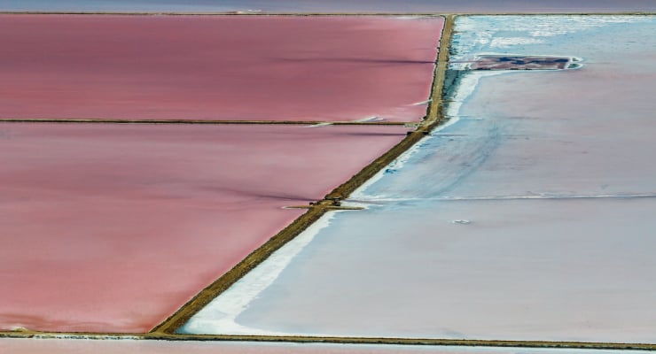 Pink and pale blue salt evaporation ponds separated by thin brown embankments.