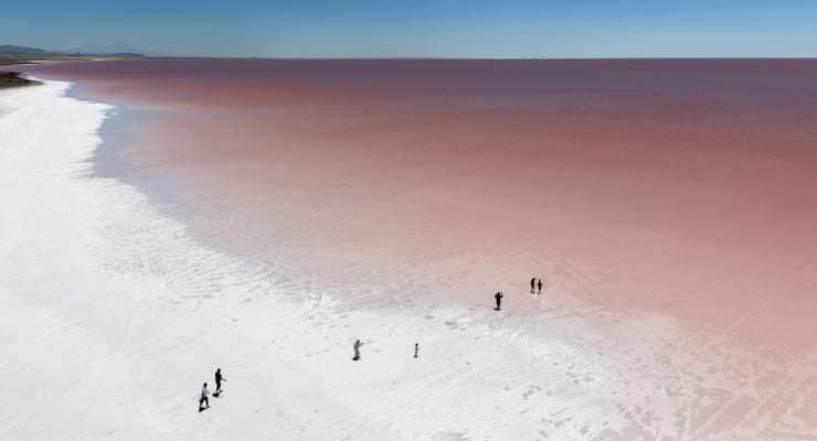 Aerial view of a pink lake with a white salt shore and several tiny people walking along the shore edge.