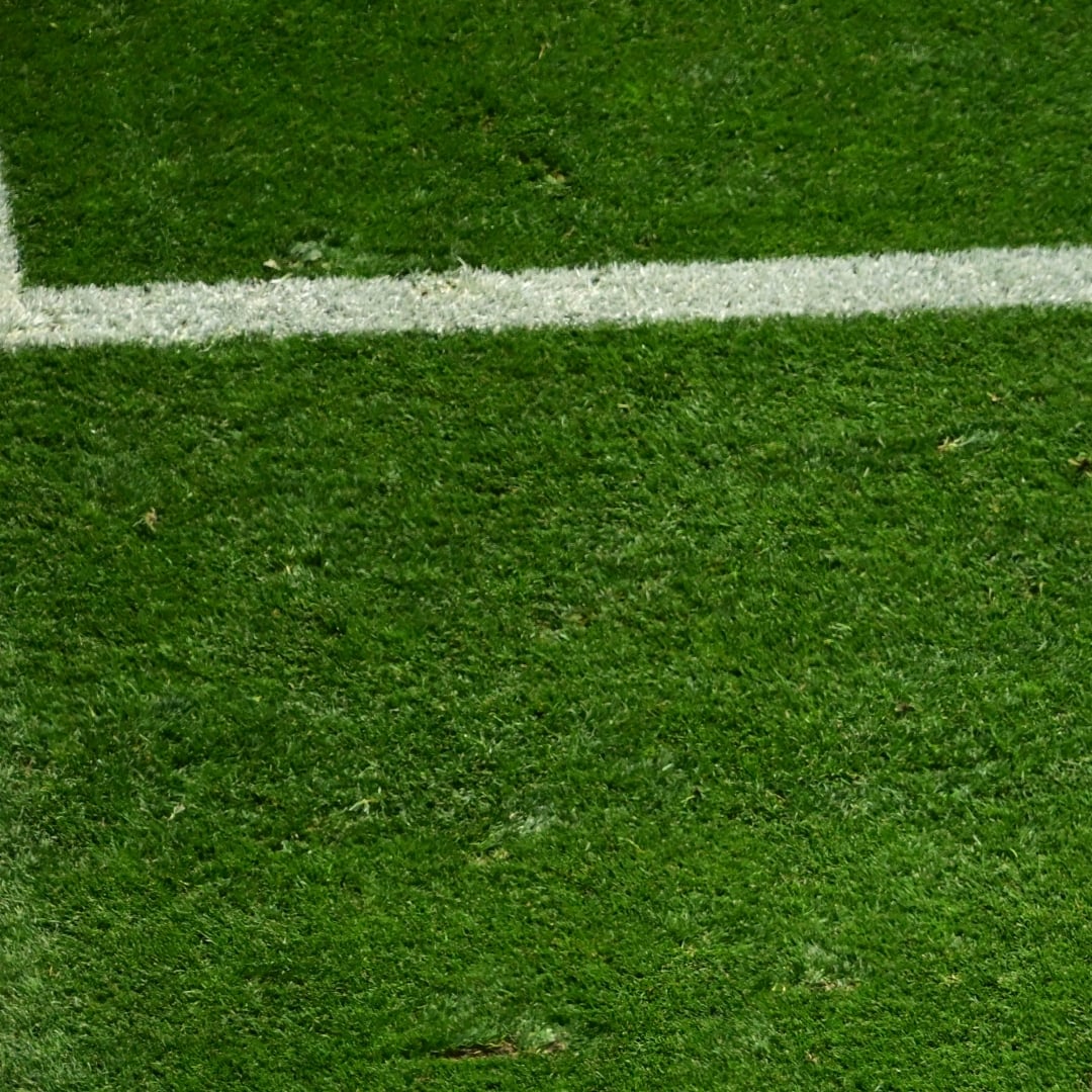 FIFA girişimcilikte sınır tanımıyor: Dünya kupası finalinin çimlerini satacak