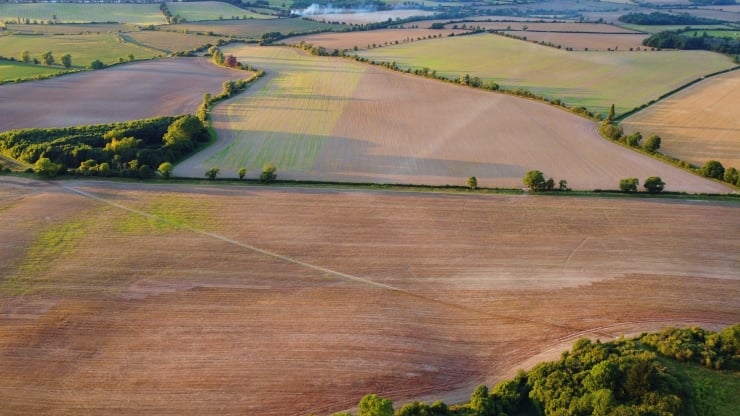 Aerial view of patchwork farmland with fields in brown, green, and yellow, divided by hedgerows and tree lines; distant trees and fields create a rural landscape.