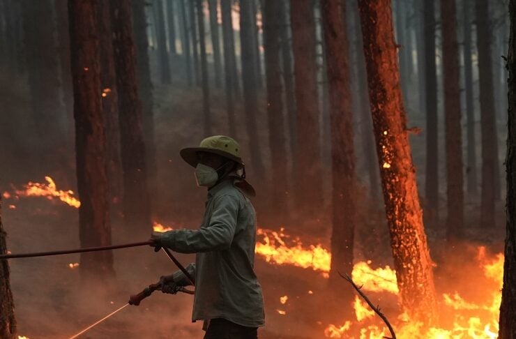 Firefighter wearing a helmet and mask fights a forest wildfire, spraying water toward flames amid charred trees.