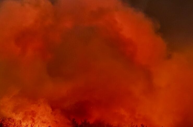 Nighttime forest fire with large orange flames and thick smoke across the trees in the background?