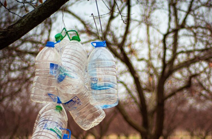 Plastic bottles hanging from a tree as makeshift wind chimes in a park with fallen leaves on the ground.] , but remove bracket.