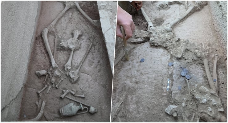 Archaeological trench showing scattered skeletal remains and dug bone fragments on sandy soil.