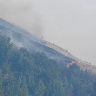 A Wildfire in California's Big Sur Region Has Scorched an Area Equivalent to 976 Football Fields, According to State Fire Officials