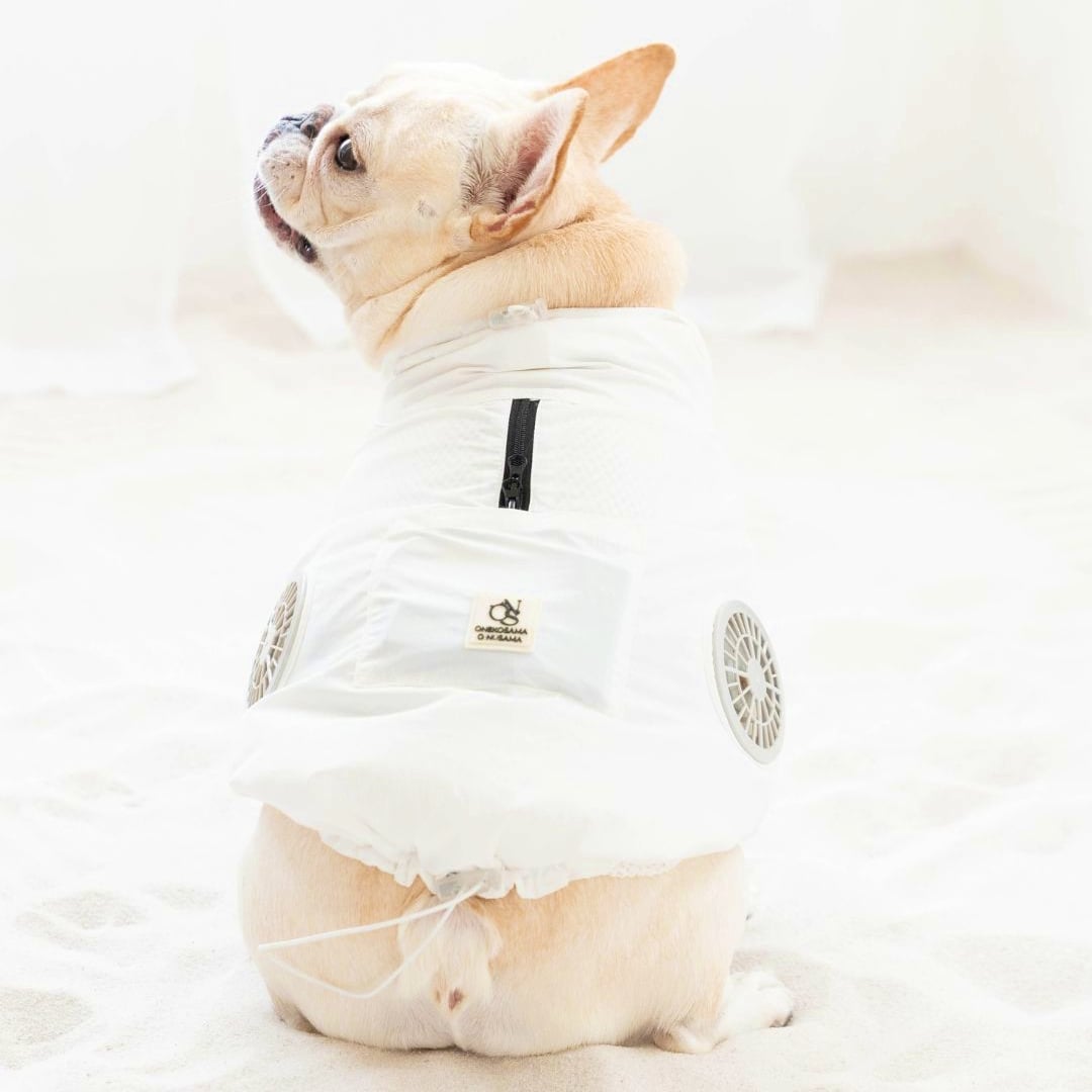 Japon işi: Köpek ve kedilere serinletici yelek - Diken