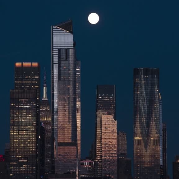 'Mersin balığı ayı' New York'ta görüldü - Diken