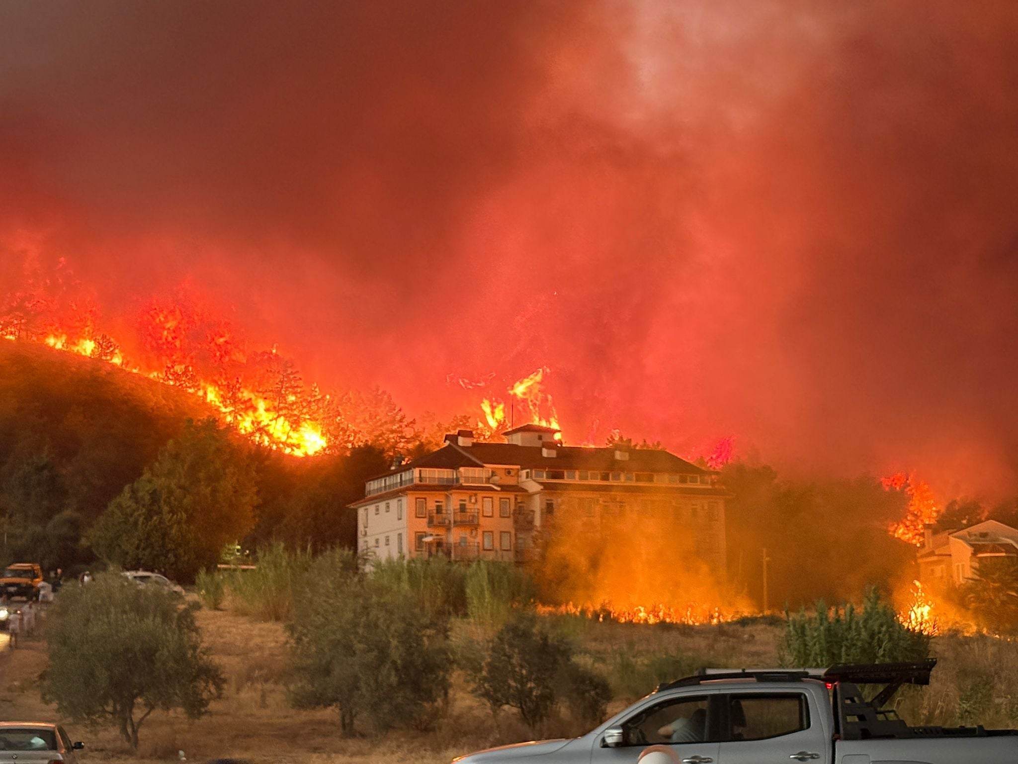 Fethiye'de orman yangını - Diken