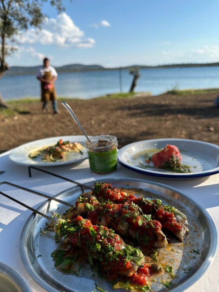 Outdoor seaside meal with plates of prepared fish topped with red salsa and herbs, a jar of green sauce in the foreground, and a blurred figure by the water in the background.
