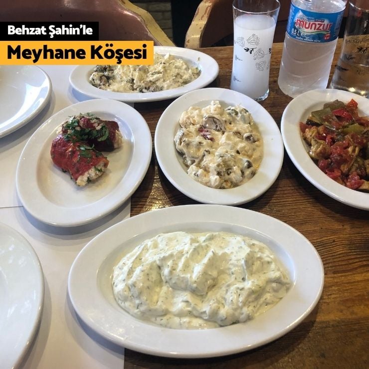 Altı Afrikana, ortası pub, üstü meyhane - Diken